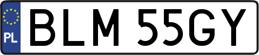 BLM55GY