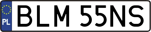 BLM55NS