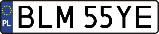 BLM55YE