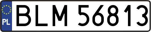 BLM56813