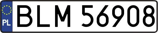BLM56908