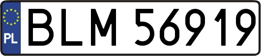 BLM56919