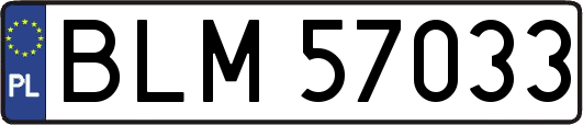 BLM57033