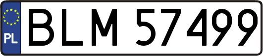 BLM57499