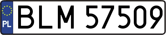 BLM57509