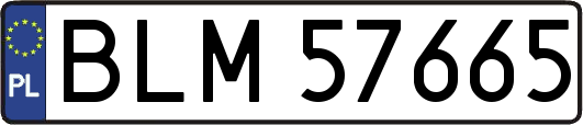 BLM57665