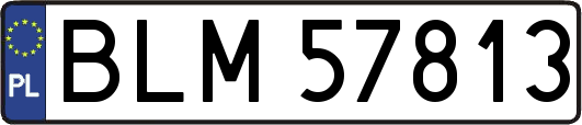 BLM57813