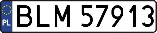 BLM57913