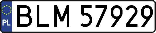 BLM57929