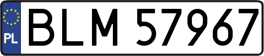 BLM57967