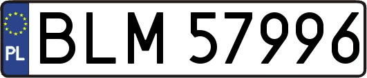 BLM57996