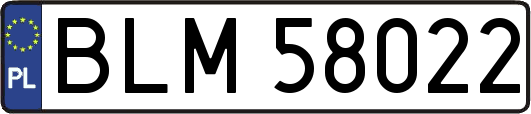 BLM58022