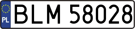BLM58028