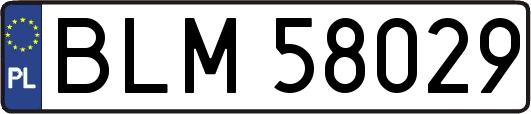 BLM58029