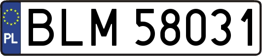 BLM58031