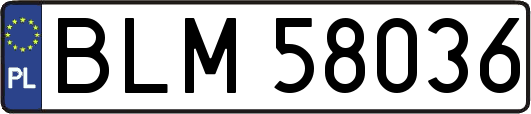 BLM58036