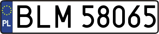 BLM58065