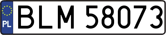 BLM58073