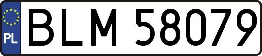 BLM58079