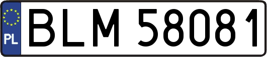 BLM58081
