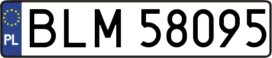 BLM58095