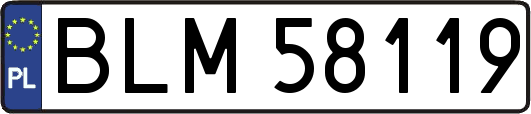 BLM58119