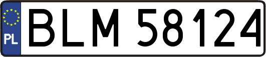 BLM58124