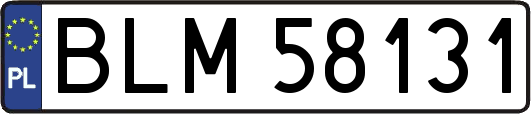 BLM58131