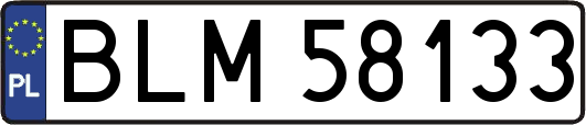 BLM58133