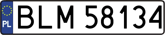 BLM58134