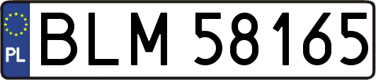 BLM58165