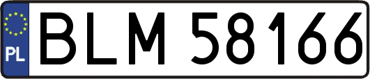 BLM58166