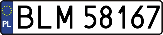 BLM58167