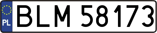 BLM58173