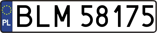 BLM58175