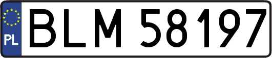 BLM58197
