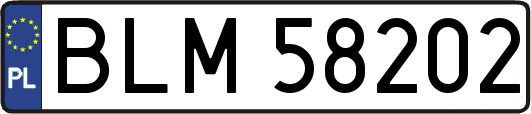 BLM58202