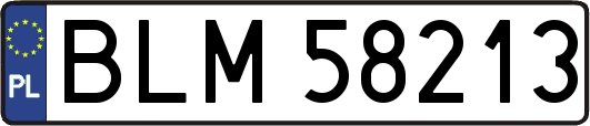 BLM58213