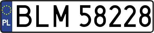 BLM58228