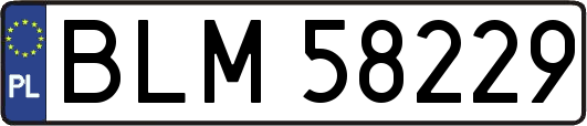 BLM58229