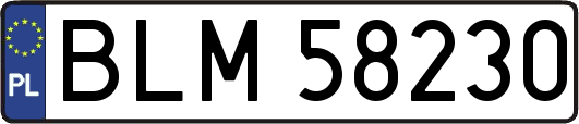 BLM58230