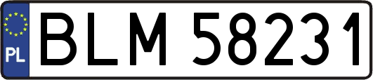 BLM58231