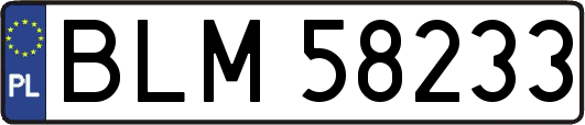 BLM58233