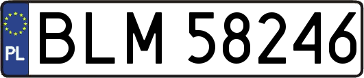 BLM58246