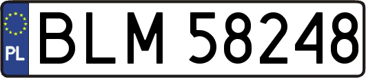 BLM58248