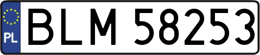 BLM58253