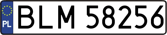 BLM58256