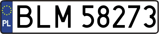 BLM58273