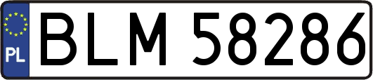 BLM58286