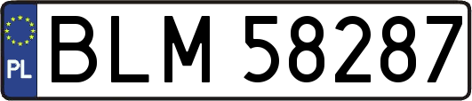 BLM58287